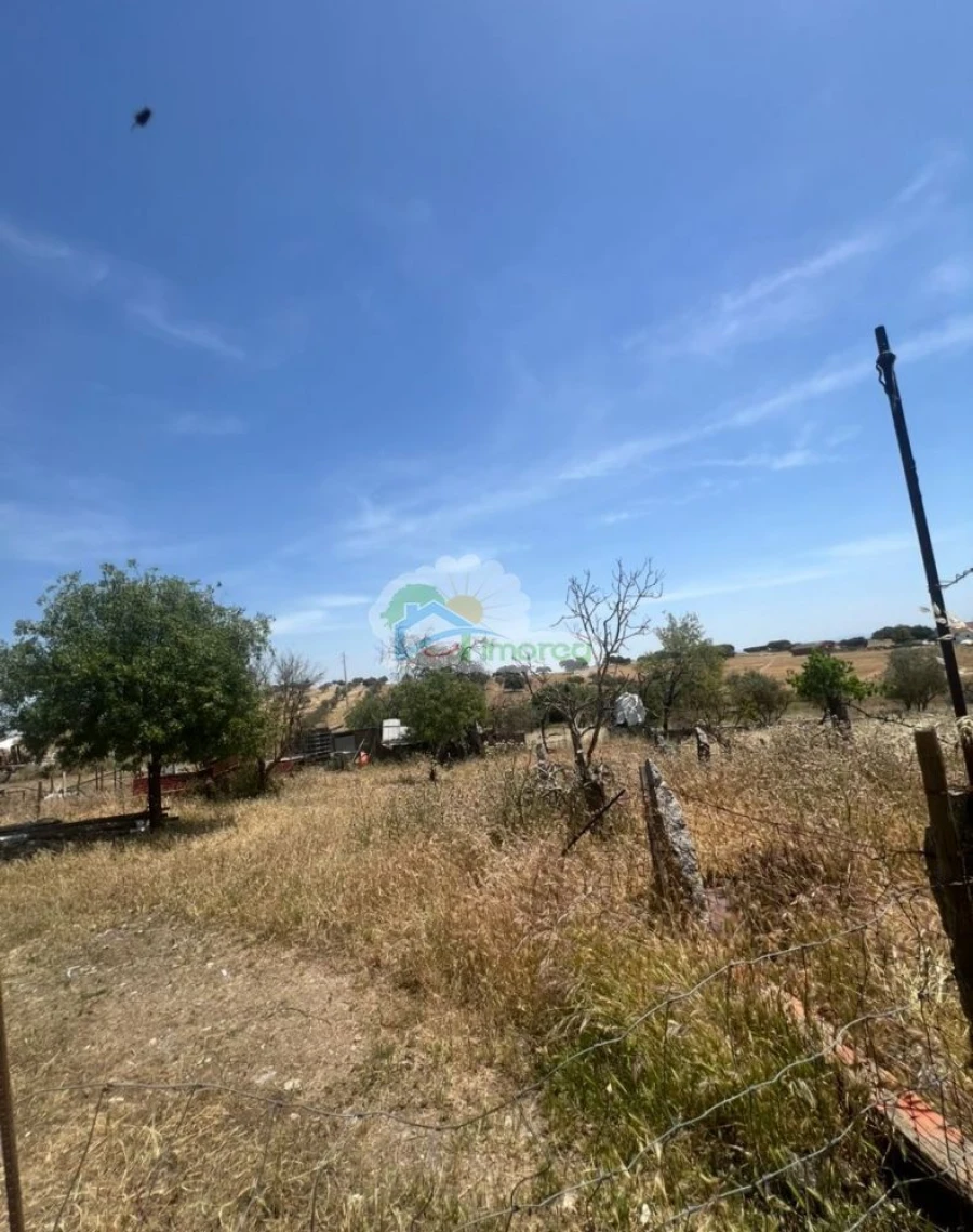 Quinta T3 para Venda em Santiago Maior Foto 4