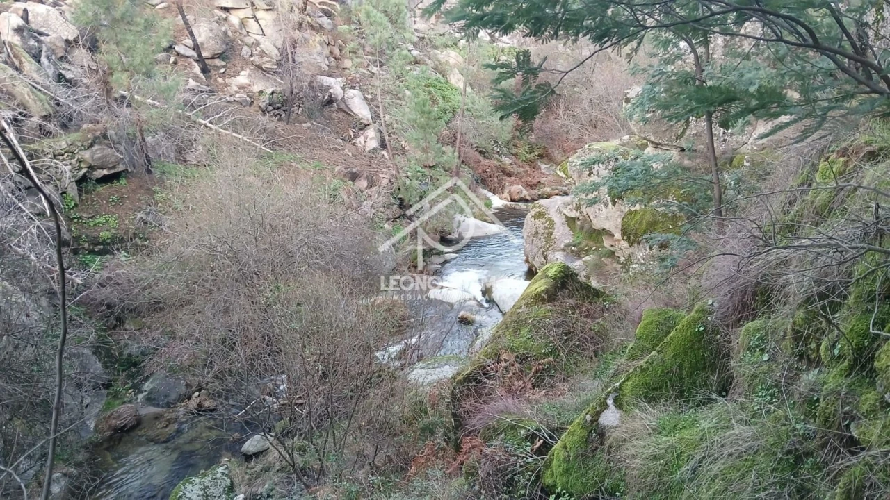 Terreno para Venda em São Vicente da Beira Foto 15