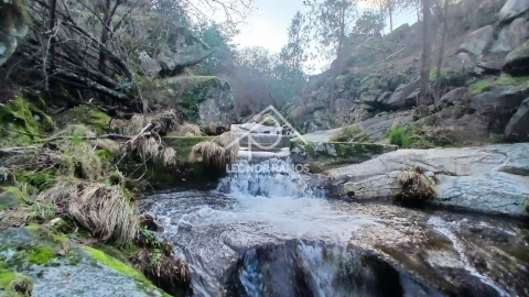 Terreno para Venda em São Vicente da Beira