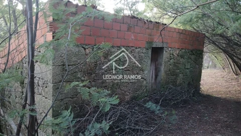 Terreno para Venda em São Vicente da Beira