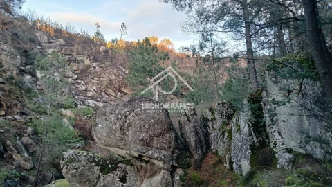 Terreno para Venda em São Vicente da Beira