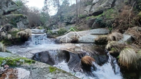 Terreno para Venda em São Vicente da Beira