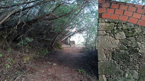 Terreno para Venda em São Vicente da Beira
