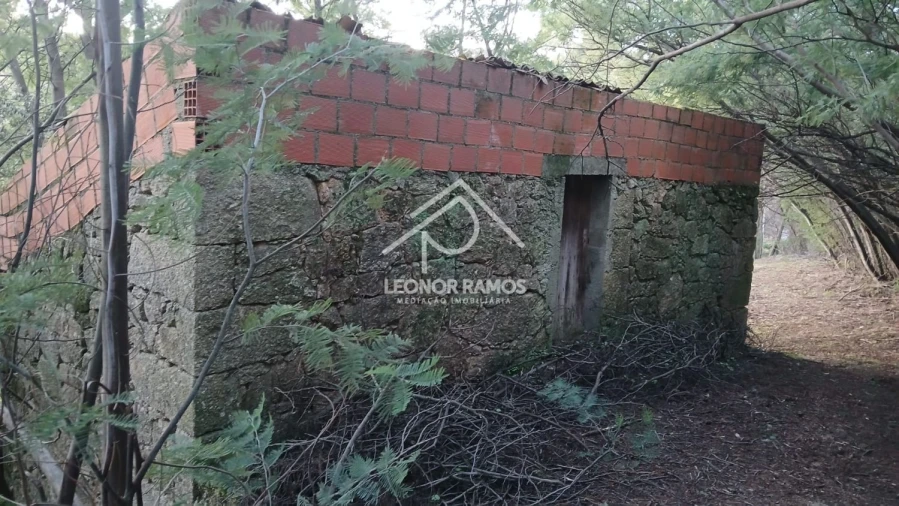 Terreno para Venda em São Vicente da Beira Foto 9