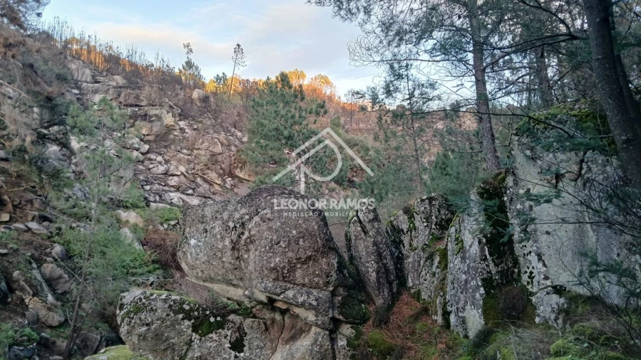 Terreno para Venda em São Vicente da Beira Foto 13