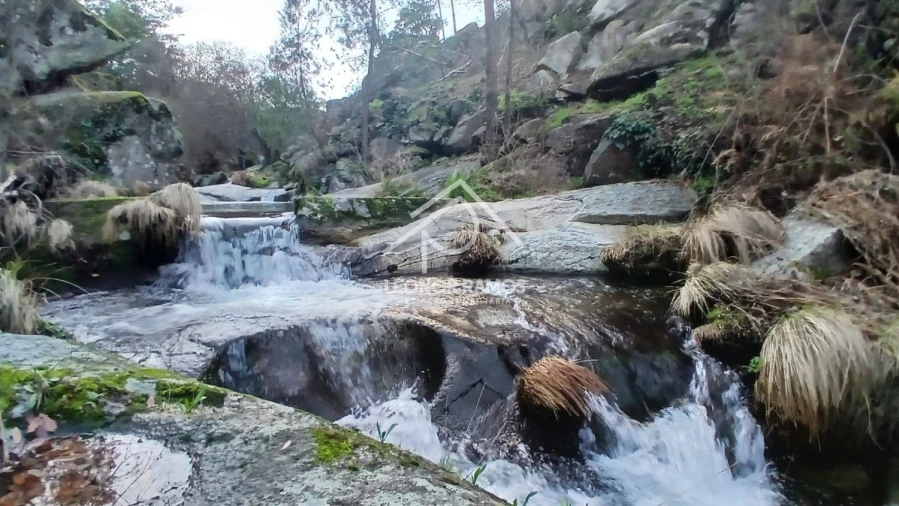 Terreno para Venda em São Vicente da Beira Foto 8