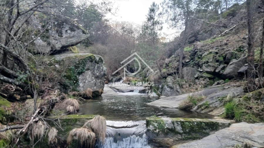 Terreno para Venda em São Vicente da Beira Foto 2