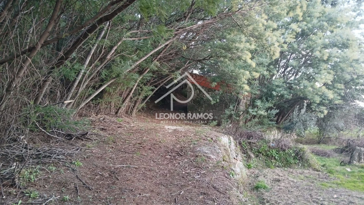 Terreno para Venda em São Vicente da Beira Foto 14