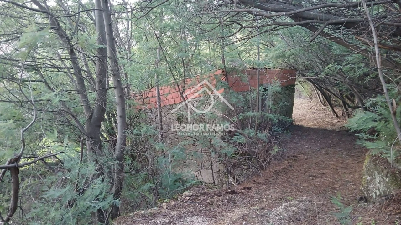 Terreno para Venda em São Vicente da Beira Foto 11