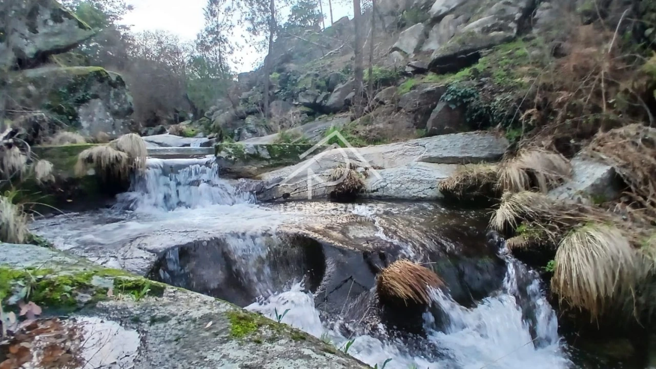 Terreno para Venda em São Vicente da Beira Foto 8