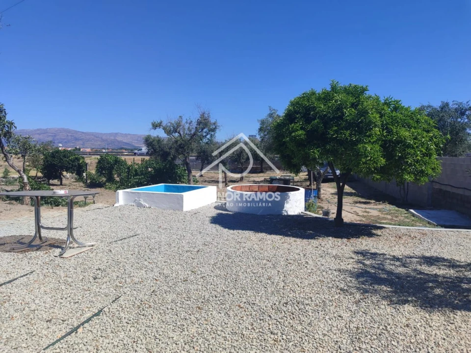 Quinta T1 para Venda em Lardosa Foto 4
