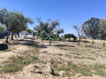 Quinta T1 para Venda em Lardosa