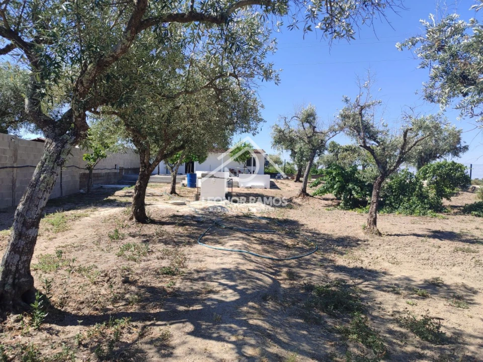 Quinta T1 para Venda em Lardosa Foto 29