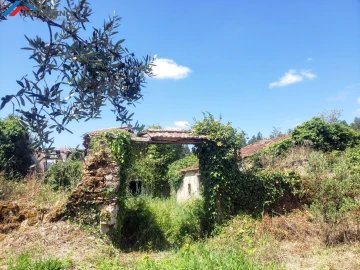 Moradia T1 para Venda em Figueira de Lorvão
