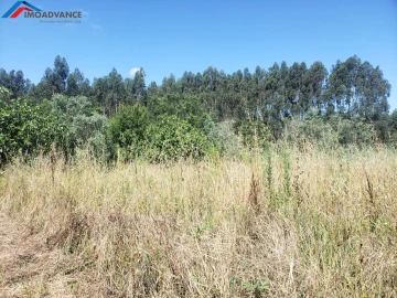 Moradia T1 para Venda em Figueira de Lorvão
