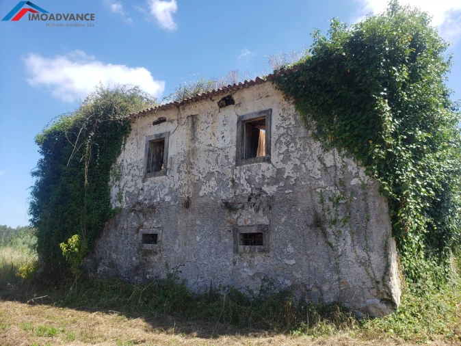 Moradia T1 para Venda em Figueira de Lorvão Foto 3