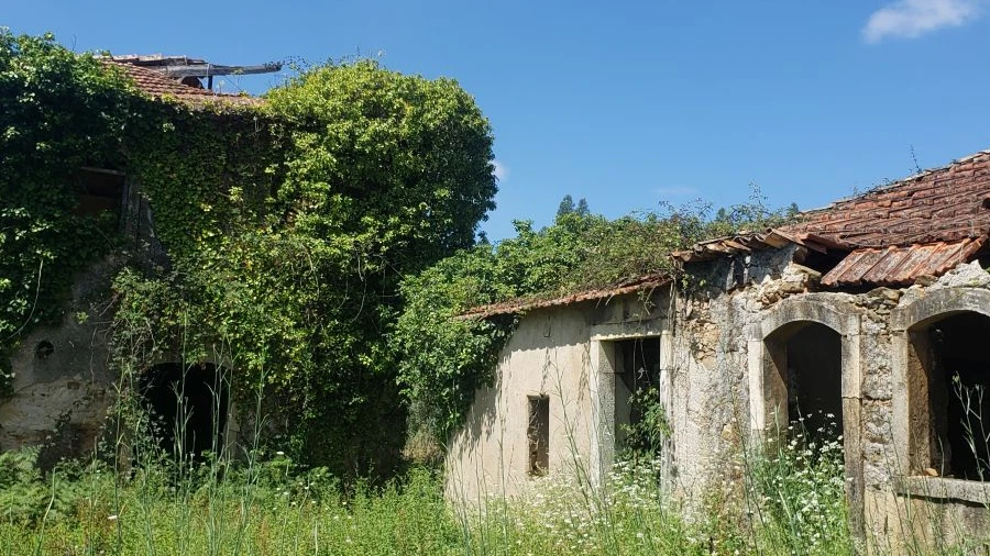 Moradia T1 para Venda em Figueira de Lorvão