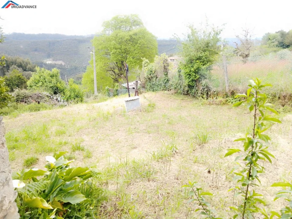 Terreno para Venda em Penacova Foto 1