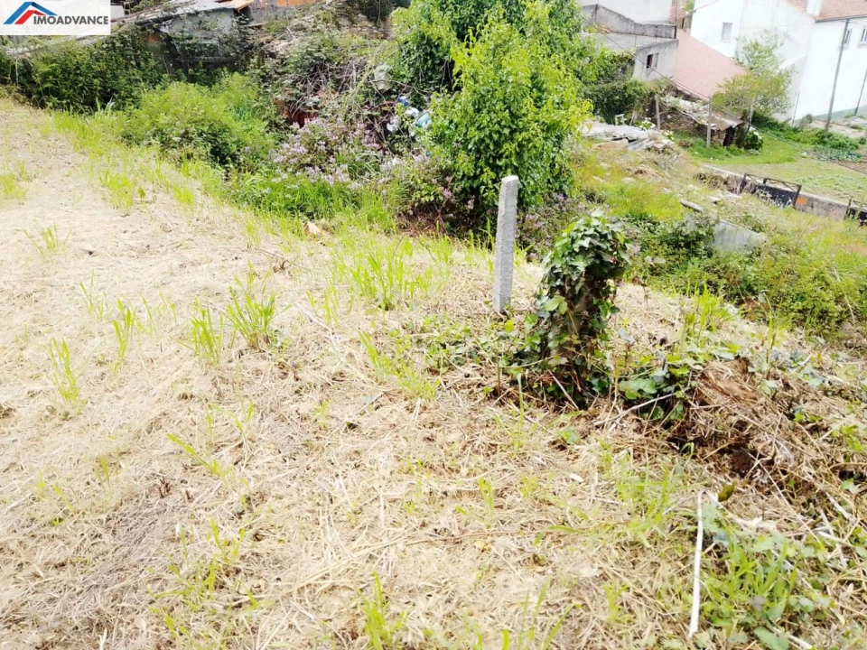 Terreno para Venda em Penacova Foto 2