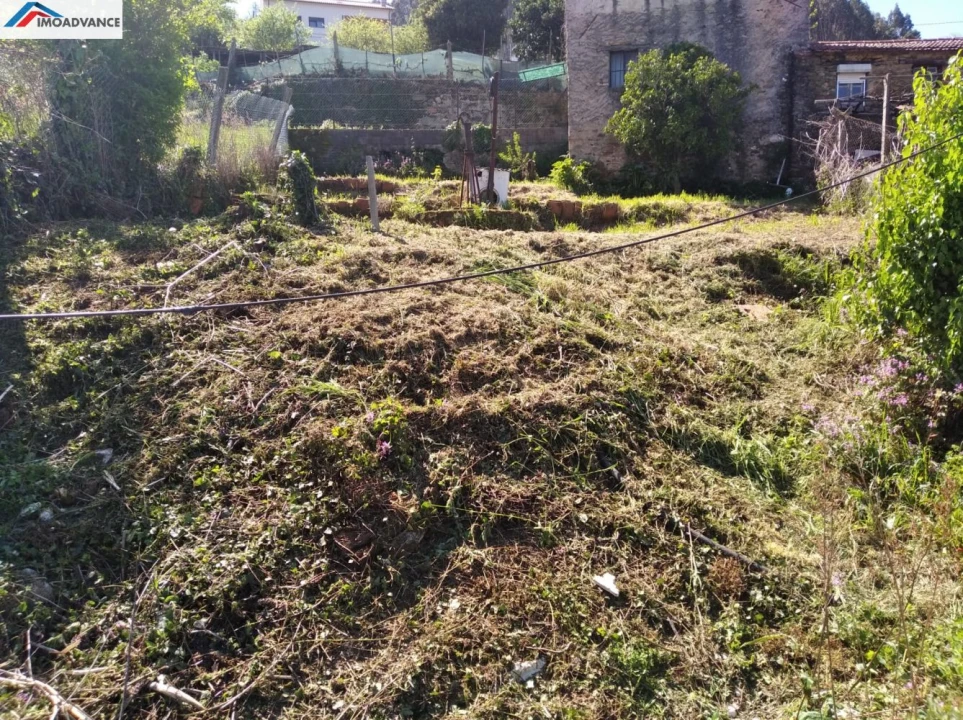 Terreno para Venda em Penacova Foto 7
