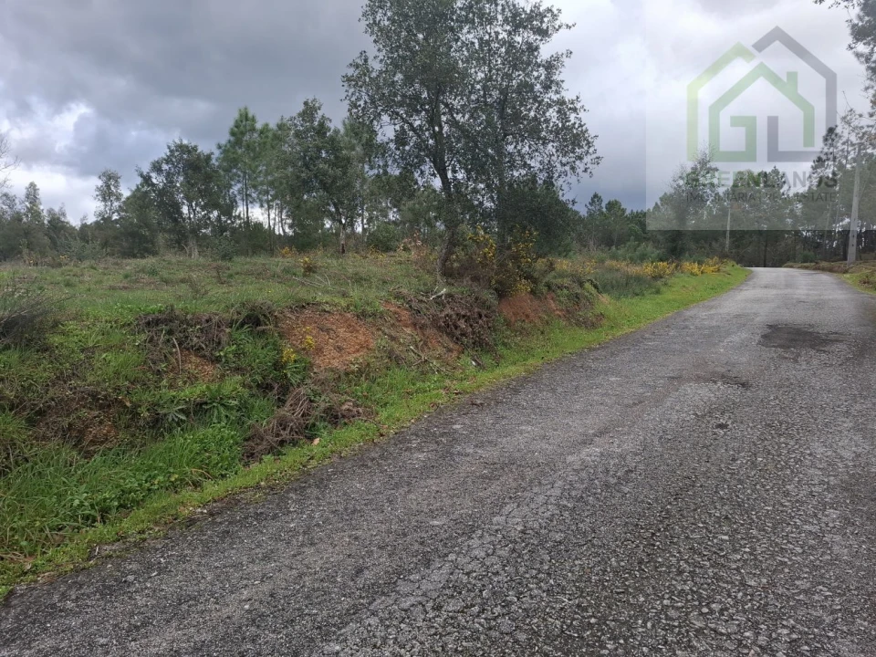 Terreno para Venda em Tabua Foto 19