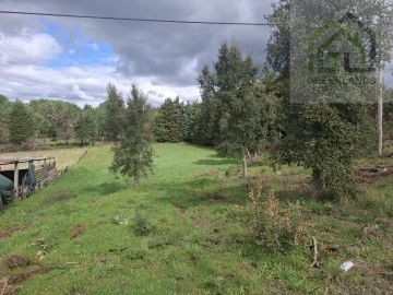 Terreno para Venda em Tabua