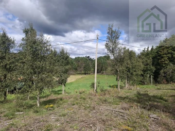 Terreno para Venda em Tabua