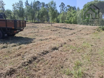 Terreno para Venda em Tabua