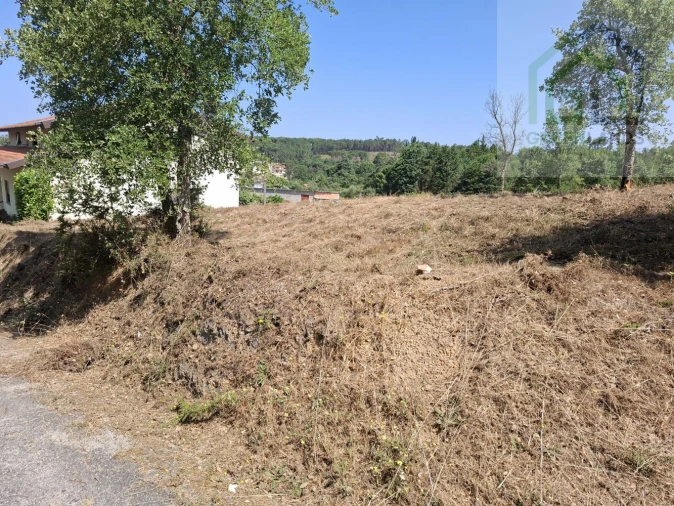 Terreno para Venda em Tabua Foto 8