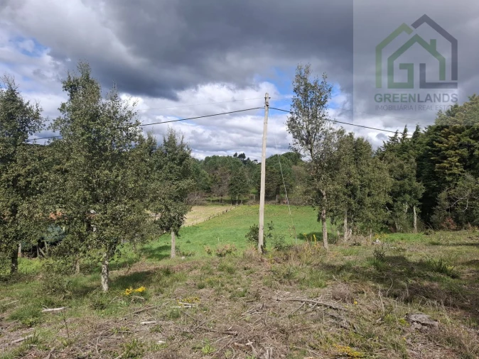 Terreno para Venda em Tabua Foto 12
