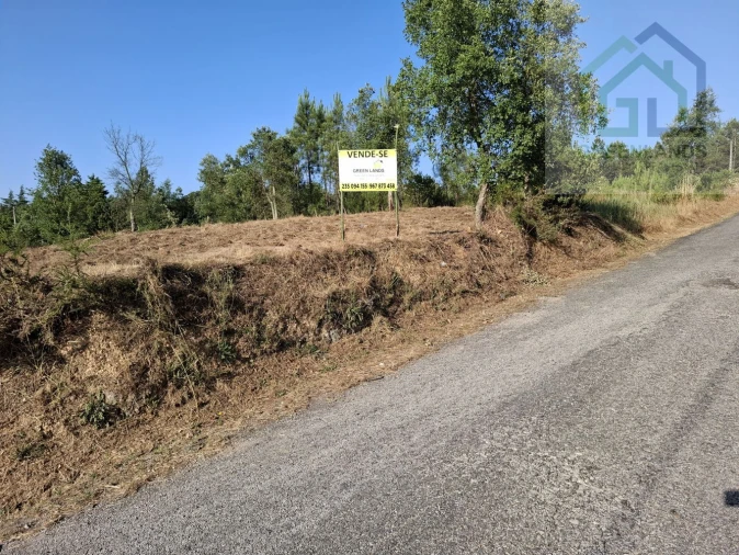 Terreno para Venda em Tabua Foto 5