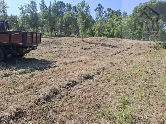 Terreno para Venda em Tabua Foto 20