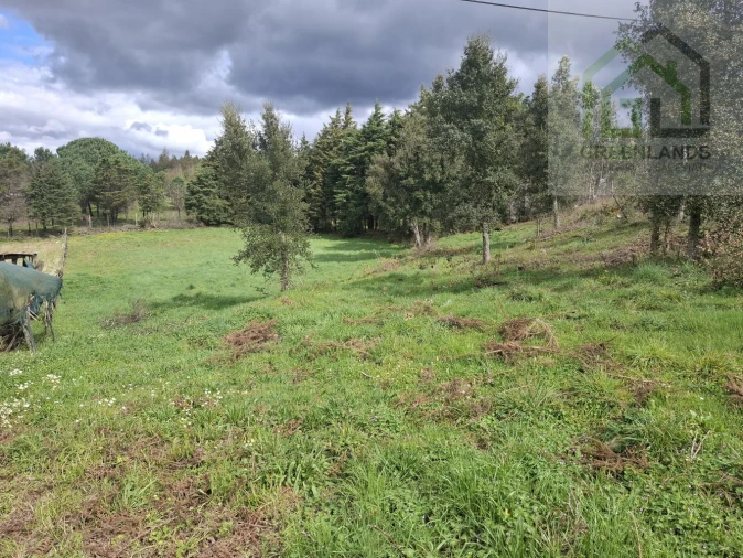 Terreno para Venda em Tabua Foto 4
