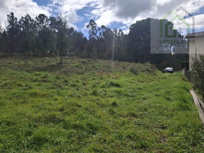 Terreno para Venda em Tabua Foto 2