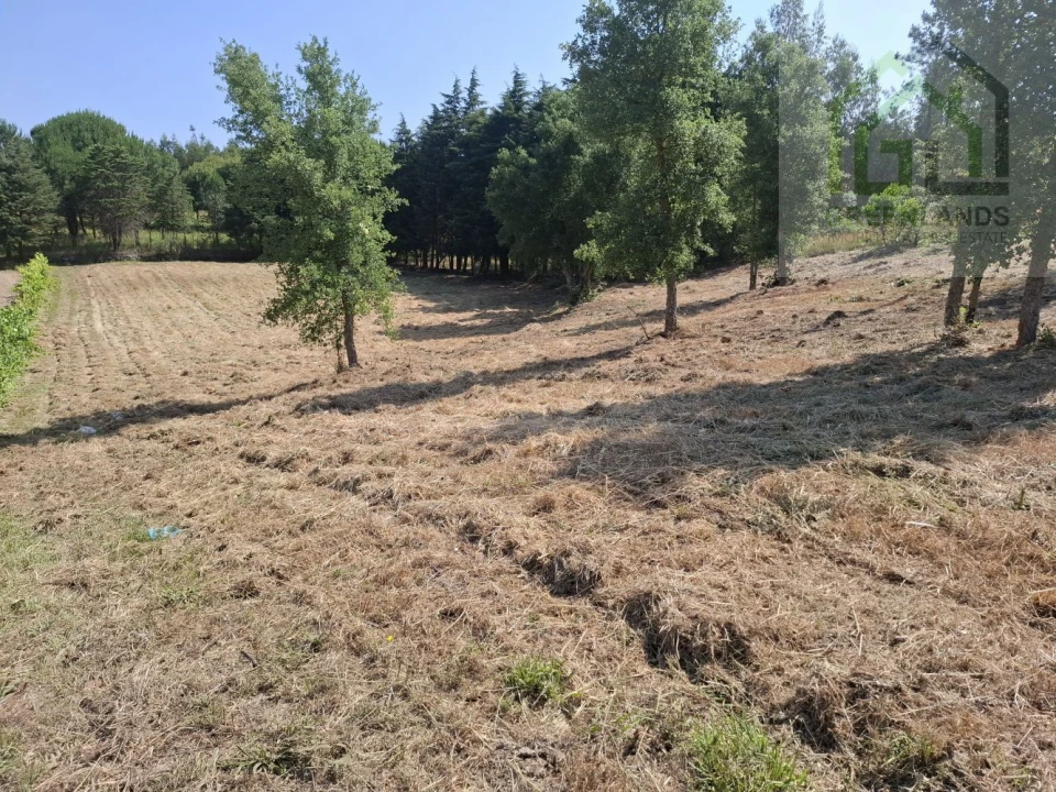 Terreno para Venda em Tabua Foto 6