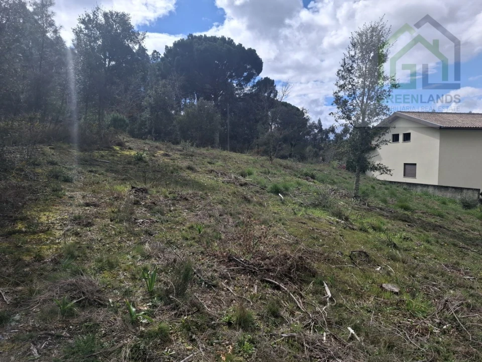 Terreno para Venda em Tabua Foto 16