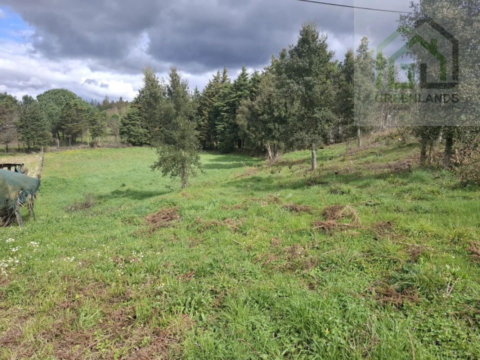 Terreno para Venda em Tabua Foto 4