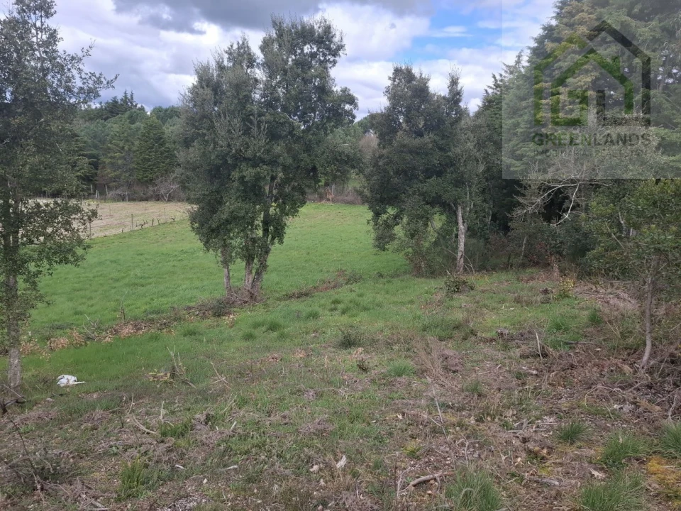 Terreno para Venda em Tabua Foto 17