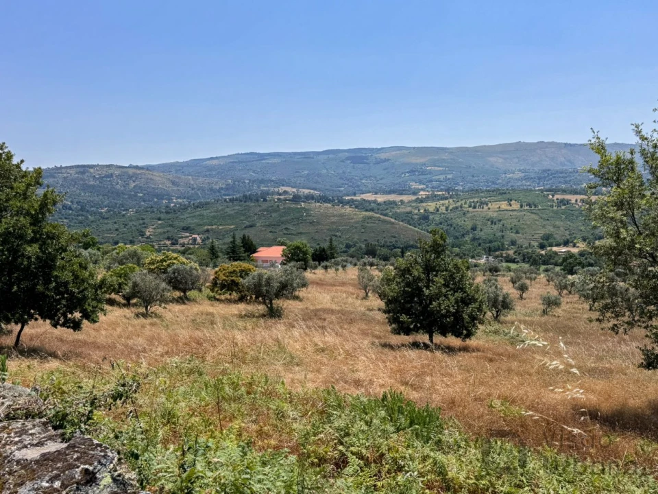 Terreno para Venda em Carrapichana Foto 11