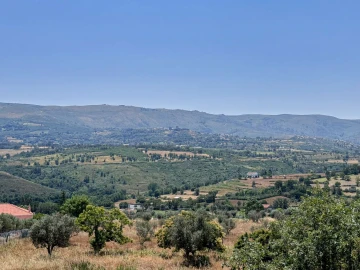 Terreno para Venda em Carrapichana