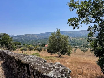 Terreno para Venda em Carrapichana