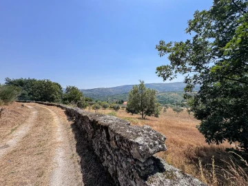 Terreno para Venda em Carrapichana