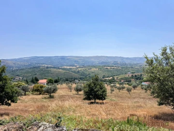 Terreno para Venda em Carrapichana