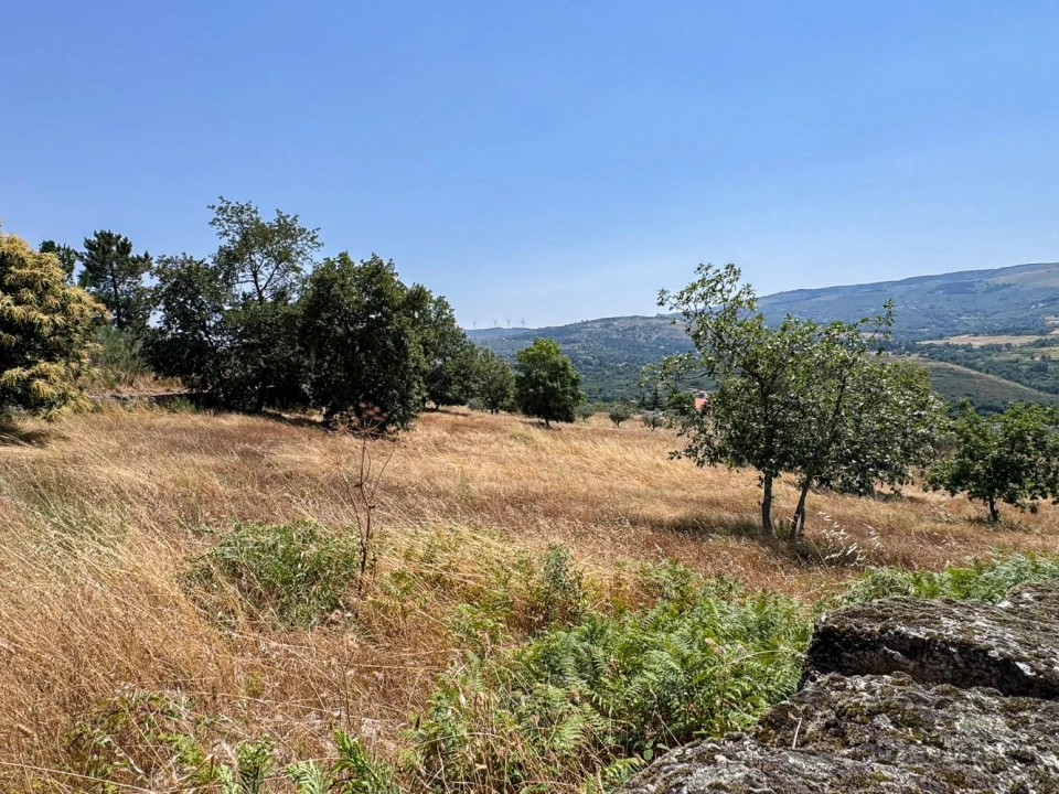 Terreno para Venda em Carrapichana Foto 9