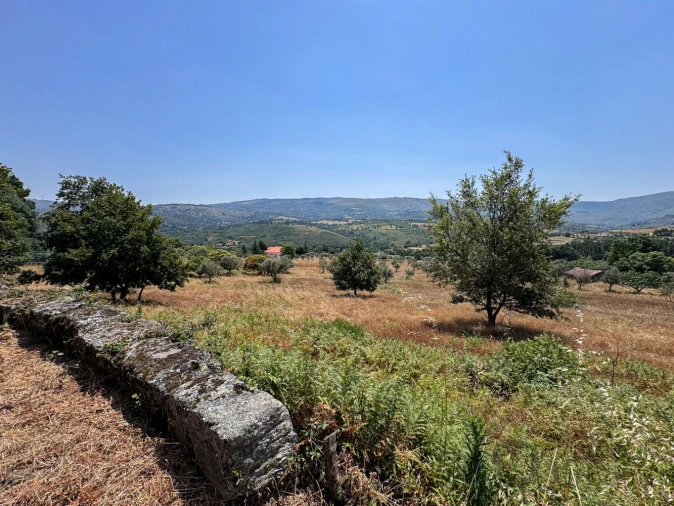 Terreno para Venda em Carrapichana Foto 10