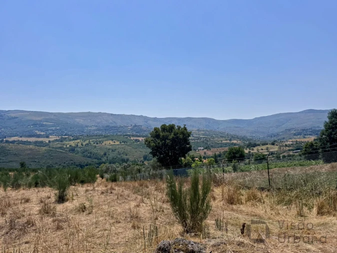 Terreno para Venda em Carrapichana Foto 3