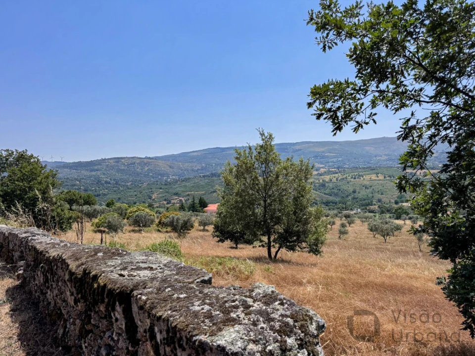 Terreno para Venda em Carrapichana Foto 7