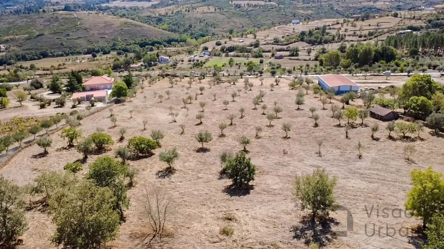 Terreno para Venda em Carrapichana