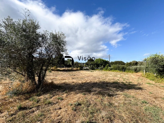 Terreno para Venda em Campo Foto 12