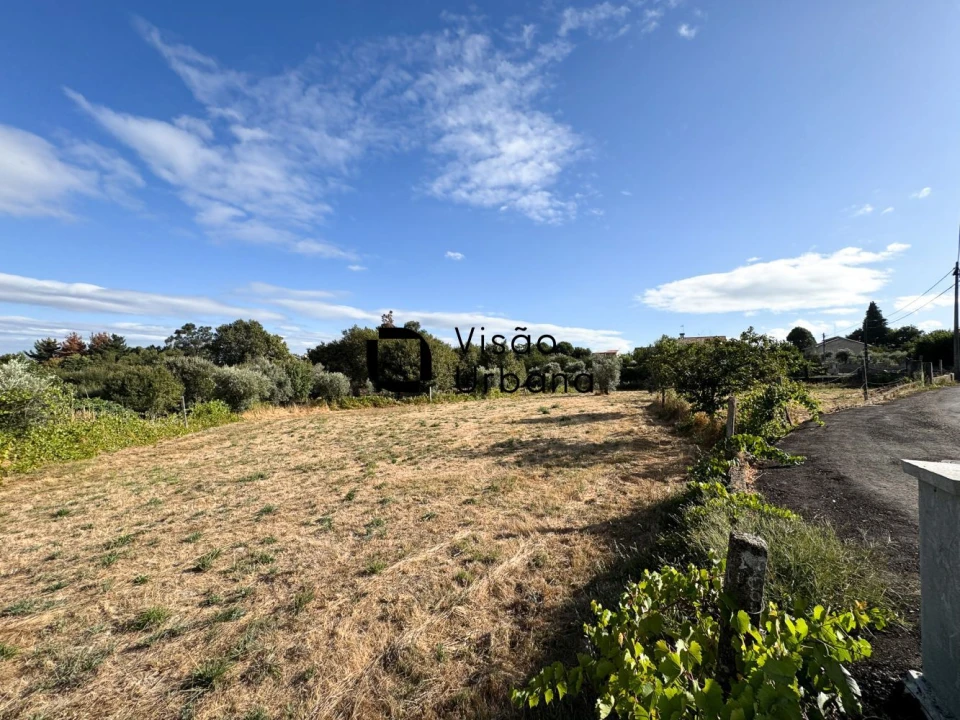 Terreno para Venda em Campo Foto 4